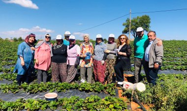 Deva Partisi İl Başkanlığı’ndan Hüyük İlçesine Çıkarma!
