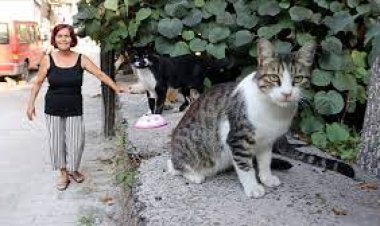 Sokaklar onlarla çok daha güzel