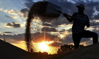 Rusya'ya hububat ve bakliyat ihracatı martta yüzde 586 arttı