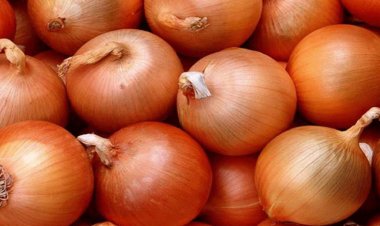 Bakanlıktan “kuru soğan” açıklaması