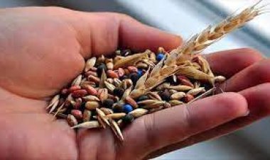 Hani 'yerli ve milliydiniz' ?