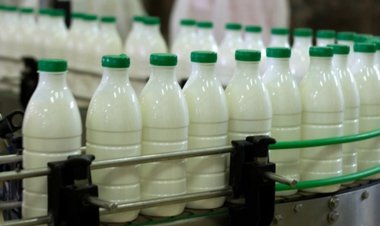 Süt üretimi yüzde 11 arttı, tereyağı üretimi yüzde 30 geriledi