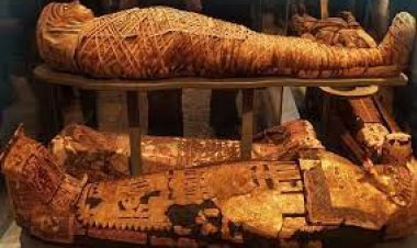 MUMYALAMANIN AMACINI YANLIŞ BİLİYORMUŞUZ