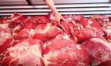 Rekabet Kurumu’ndan ette fiyat araştırması