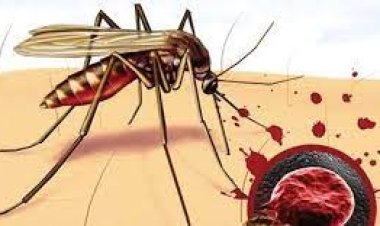 Sıtmaya dikkat, ölüme sebep olabilir!