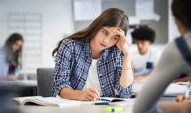 Sınav stresi attıran bitkiler hangileri