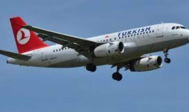 THY karını yüzde 99 artırdı