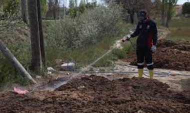 Meram’da haşere ve sinekle  mücadele çalışmaları başladı