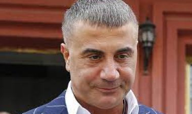 Sedat Peker'in Twitter hesabında haftalar sonra hareketlilik