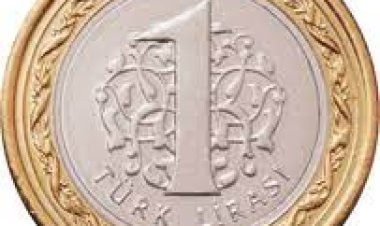 Hollanda Merkez Bankası’ndan 1 TL uyarısı