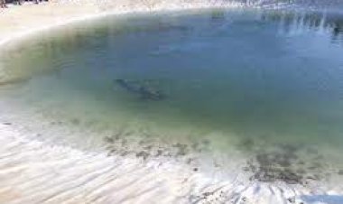 Yapay gölete düşen 2 yaşındaki çocuk öldü