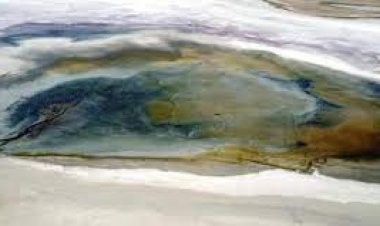 Beyşehir ve Tuz Gölü dahil 20 sulak alan,  yok olma tehlikesiyle karşı karşıya