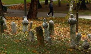 Edirne'deki Osmanlı dönemi mezarlıkları  ve hazireleri aslına uygun onarılıyor