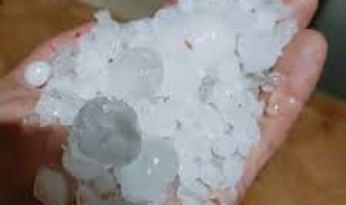 Konya'da dolu ekili arazilere zarar verdi