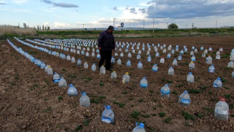 Mucit çiftçi tüm dünyayı şaşırttı; Onlarca pet şişeyi tarlasına ekti