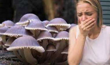 Konya'da mantar zehirlenmesi…