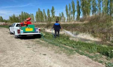 Ereğli Belediyesi sinek ve haşere  ile mücadelesini sürdürüyor