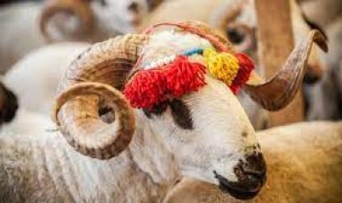 Diyanet kurban vekaleti ücreti ne kadar, kaç TL?