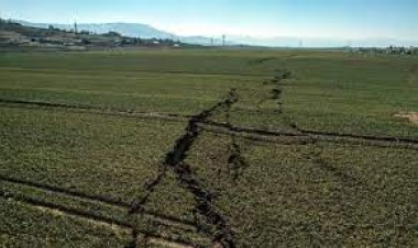 Konya’da sağanak yağış sarımsak tarlalarını vurdu