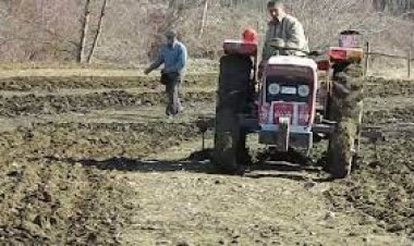 ‘Buğday ekimi yüzde 30 artar’