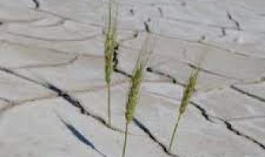 Konya yarı kurak çöl statüsünde!