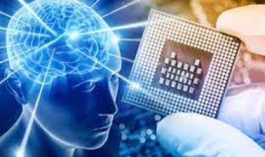 Dokunma hissi veren elektronik deri üretildi: