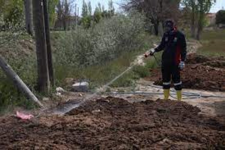 Meram’da haşere ve sinekle mücadele çalışmaları başladı
