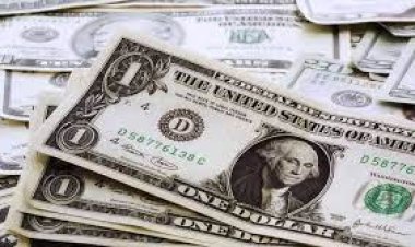 Merkez Bankası'nın rezervlerinde hızlı erime sürüyor