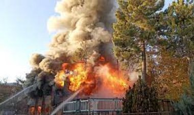 Köyde 6 farklı noktada yangın çıktı; 13 büyükbaş öldü, ev ve ahırlar yandı