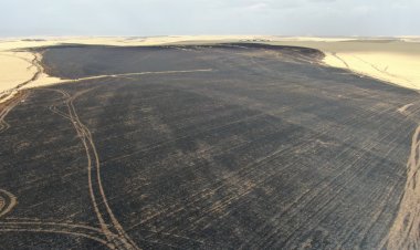 Sigara izmariti 700 dönümlük tarlayı küle çevirdi