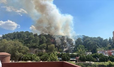 Antalya'da orman yangını başladı
