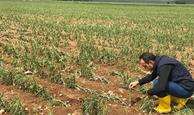 Hasar tespit çalışmaları devam ediyor