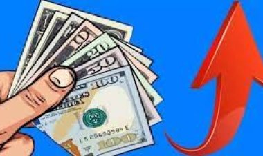 DOLAR YÜKSELİYOR,ÜLKE SATILIYOR