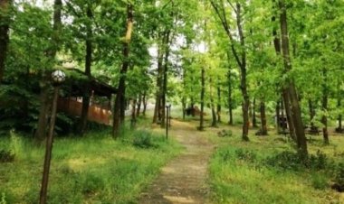 Orman yangınlarına karşı önlem: Girişler yasaklandı