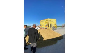 Karapınar'da arpa hasadına başlandı