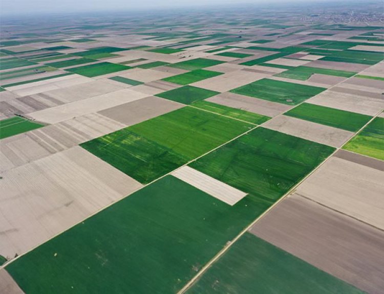 Konya  ovası 20 yılın en Fazla yağışını  aldı