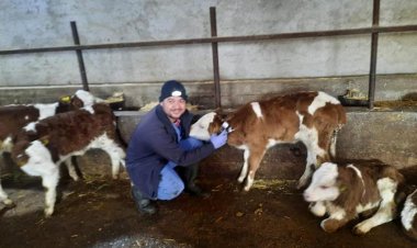 Beyşehir'de şap hastalığı sebebiyle  hayvan pazarı kapatıldı