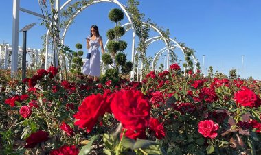 Hz. Mevlana için 190 çeşit gül