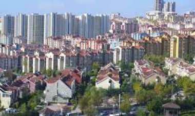 Türkiye dünya lideri oldu !..