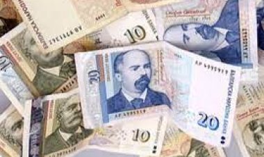 Bulgar levası 15 lira oldu.