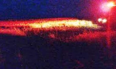 KULU’DA ARPA TARLASI YANDI