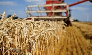 Tarımsal girdi fiyatları arttı