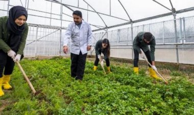 AKP’nin 20 yıldır tarım  sayımı yapmadığı ortaya çıktı