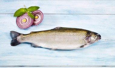 5 ayda 46,3 milyon dolarlık Türk somonu ihraç edildi