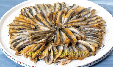 Hamsi ve lüferde bolluk beklentisi