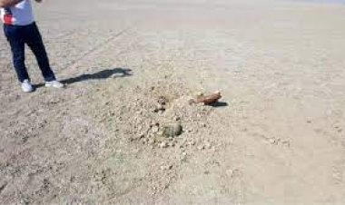 CESEDİ TARLADA BULUNDU