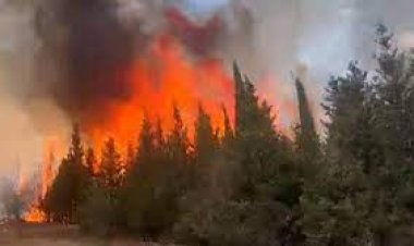 148 orman yangını çıktı!