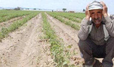 ÇİFTÇİ  İSYAN EDİYOR