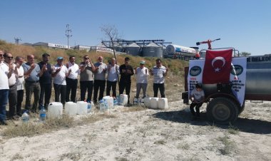 Yollarda ağaçlar kuruyor