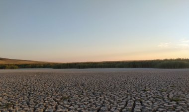 Kuş Cenneti Gökgöl'de acı tablo!